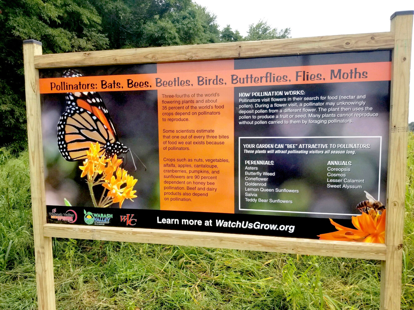 Partners’ pollinator plot creating lots of buzz
